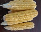 A picture of step 1 of Boiled Sweetcorn#15 minutes or less cooking recipe contest.