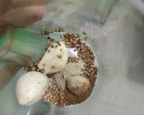 Foto langkah ke 1 dari resep Bola daging.