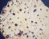 लौकी का थेपला (lauki ka thepla recipe in Hindi) रेसिपी चरण 6 फोटो