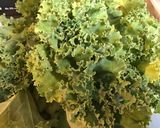 Une image de l'étape 1 de Chou Kale sauté au jus de cerf, ail et oignon.