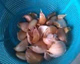 Gambar langkah 1 resipi Tips senang kupas kulit bawang putih.