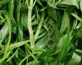 Foto langkah ke 5 dari resep Tumis Kangkung Duo Jamur.