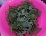 Foto langkah ke 1 dari resep Tumis daun jipang.