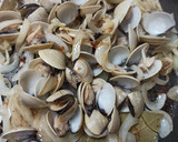 Foto del paso 3 de la receta: Sepia encebollada con almejas