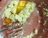 Foto del paso 4 de la receta: Garibaldis