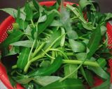 Foto langkah ke 1 dari resep Tumis Kangkung.