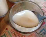 Foto langkah ke 8 dari resep Yoghurt homemade.