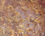 Foto del paso 8 de la receta: Estofado de Añojo