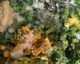 A picture of step 2 of Spinach Pakora.