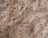 Foto del paso 4 de la receta: Hamburguesas de soja y lenteja