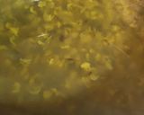 A picture of step 1 of Moong Dal.