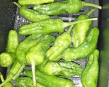 A picture of step 2 of Padron peppers.