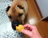 Foto del paso 3 de la receta: Galletas para nuestras mascotas