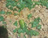 A picture of step 4 of 🐔 Chicken ka Keema 🐔.