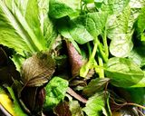 Hình bước làm 2 của món Lẩu Dê