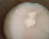 Foto langkah ke 3 dari resep Bubur Udang Khas Sangkulirang Kutim.