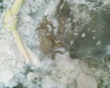 Foto langkah ke 2 dari resep Sayur Daun Singkong.