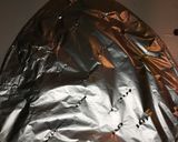 A picture of step 6 of Mutton with steam veggies.