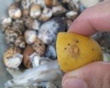 Foto langkah ke 1 dari resep Kerang asam manis🌾.