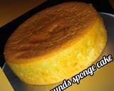 2 pounds sponge cake recipe step 7 photo