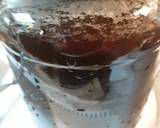 Old-fashioned Switchel/ Haymaker Punch recipe step 4 photo