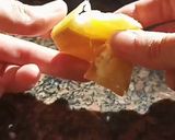Foto del paso 7 de la receta: Empanadas de Vigilia