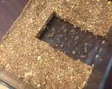 A picture of step 9 of Mango Nut Protein Bars.