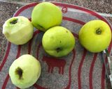 Foto del paso 1 de la receta: Kuchen de manzana