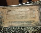 Foto del paso 5 de la receta: Budín chocolatoso😛😛