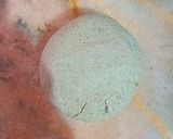 A picture of step 1 of Millets (Bajra Roti).