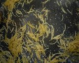A picture of step 2 of Lebanese style vermicelli rice.