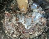 Hình bước làm 3 của món Canh Cá Rô Cải Xanh