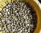 સ્પ્રોઉટ્સ સલાડ (Sprouts Salad Recipe in Gujarati) રેસીપી સ્ટેપ1ફોટો