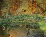 Foto del paso 8 de la receta: Lasagna