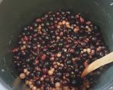 Une image de l'étape 1 de Confiture de josta.
