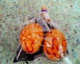 รูปขั้นตอนการทำที่ 1 ของ ไข่ไดโนเสาร์