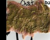 Une image de l'étape 1 de Roulé de dinde farci au pesto et fromage grec avec ses oignons confits.
