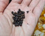 Foto del paso 11 de la receta: 112. Fideuá de Chocos