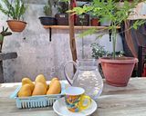 Foto del paso 1 de la receta: Agua de mango natural