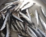 Foto del paso 1 de la receta: Boquerones en vinagre