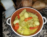 Foto langkah ke 8 dari resep Babat santan pedas.