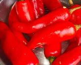 લાલ મરચા ની ચટણી (Red Marcha Chutney Recipe In Gujarati) રેસીપી સ્ટેપ1ફોટો