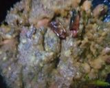 A picture of step 3 of Jolpai er Achar/ Olive pickle.