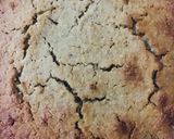Foto del paso 4 de la receta: 🥮TORTA🥮 DE AVENA ARROLLADA CON 🍎MANZANAS🍎 Y 🥭MEMBRILLO🥭
