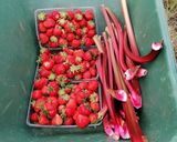 Une image de l'étape 1 de Salsa de fraises épicée.