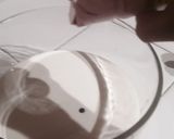 Foto del paso 3 de la receta: Helado de ponche