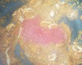 Foto del paso 16 de la receta Arroz con bogavante