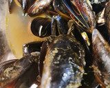 Foto del paso 3 de la receta: Mejillones de monte