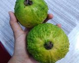 Foto langkah ke 1 dari resep Guava Juice / Jus Jambu.