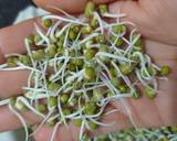 Sprouts recipe step 4 photo
